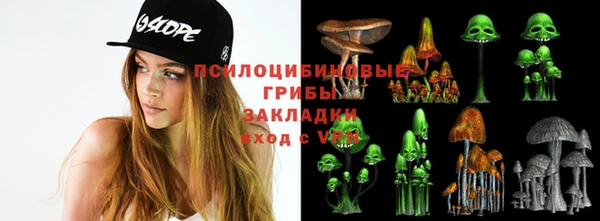 бутират Белокуриха