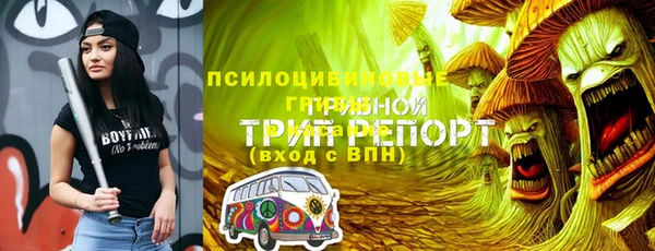 бутират Белокуриха