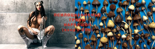 бутират Белоозёрский