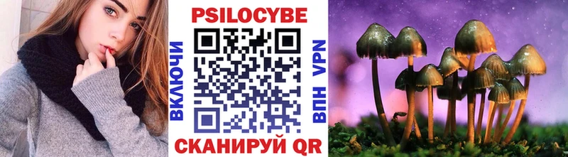 Галлюциногенные грибы прущие грибы  Купить закладки  Тогучин 